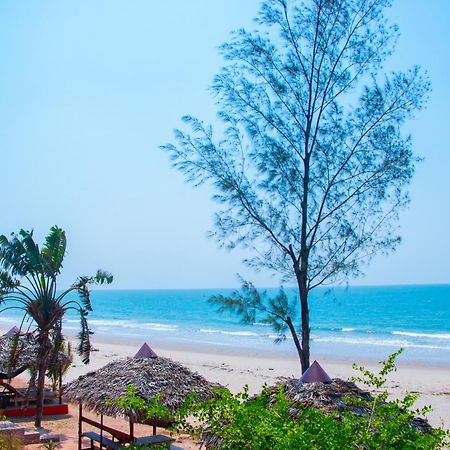Ampazony Oasis Lodge 马哈赞加 外观 照片