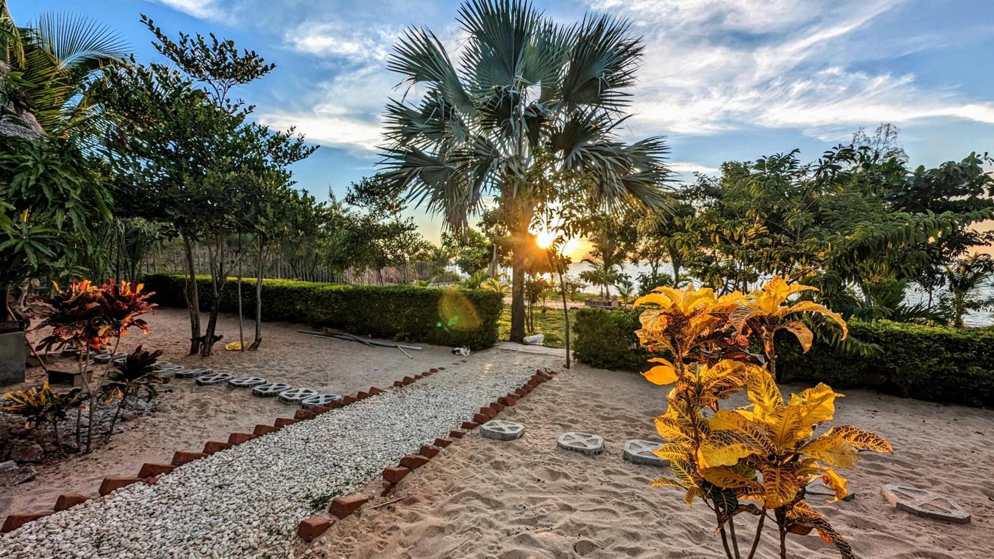 Ampazony Oasis Lodge 马哈赞加 外观 照片