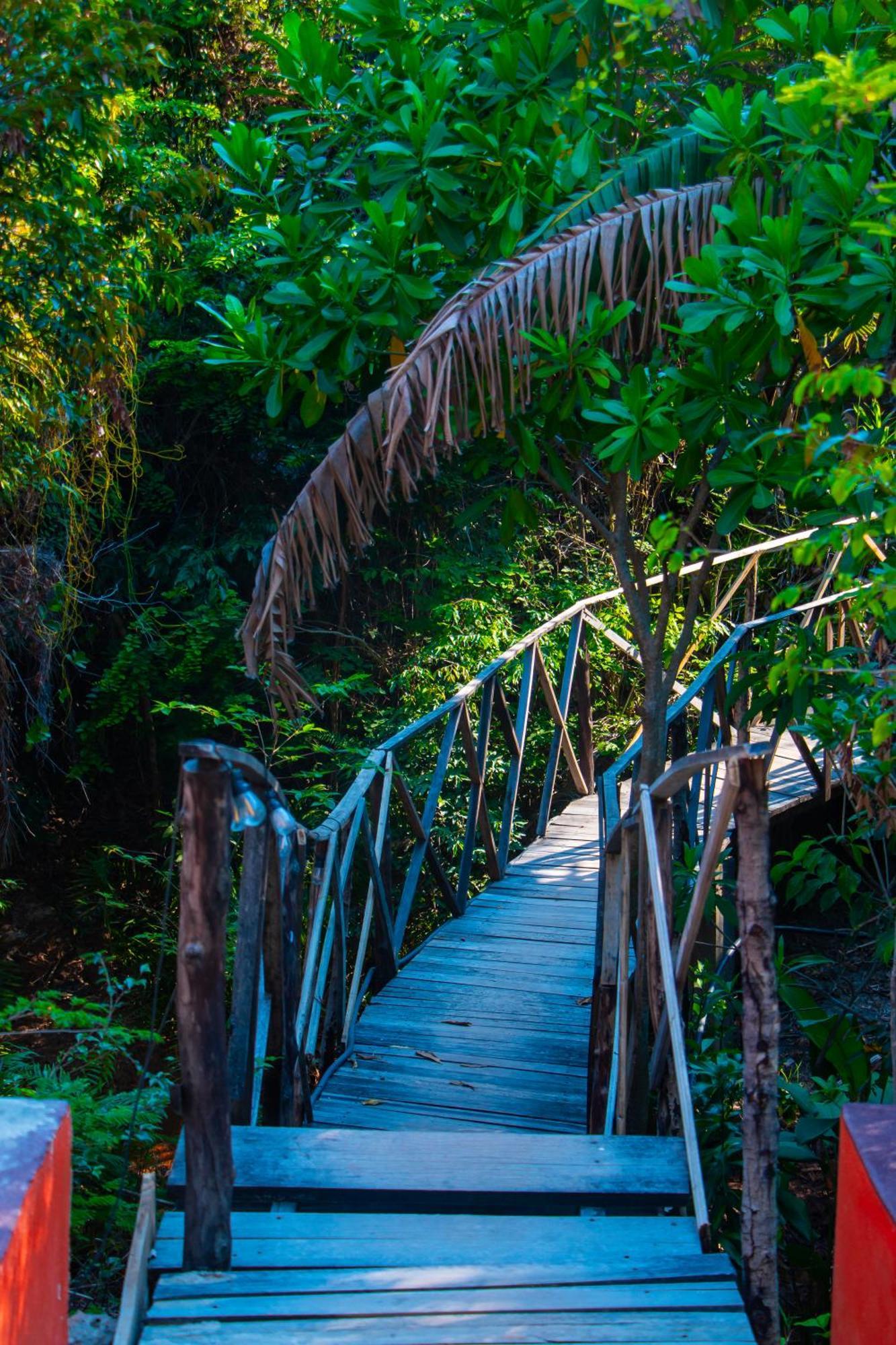 Ampazony Oasis Lodge 马哈赞加 外观 照片